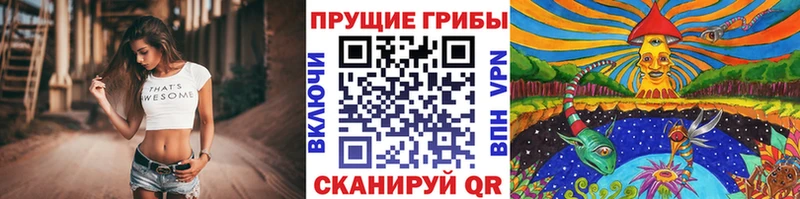Псилоцибиновые грибы прущие грибы  Усть-Кут 