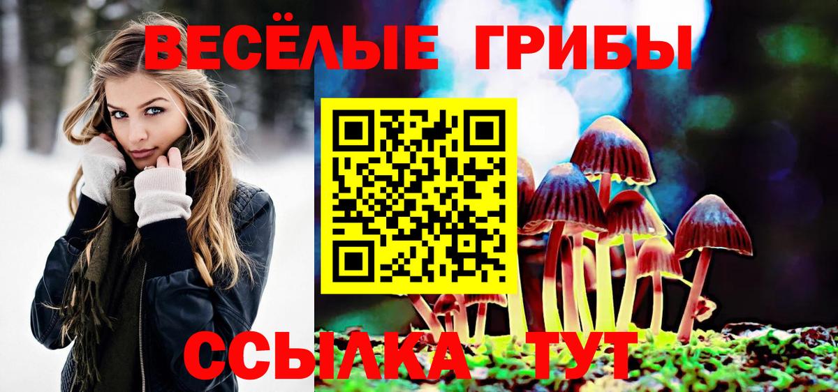 Галлюциногенные грибы Psilocybe Усть-Кут