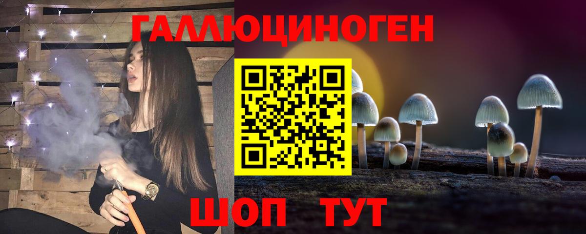 Усть-Кут  Галлюциногенные грибы мицелий  Вход с VPN 